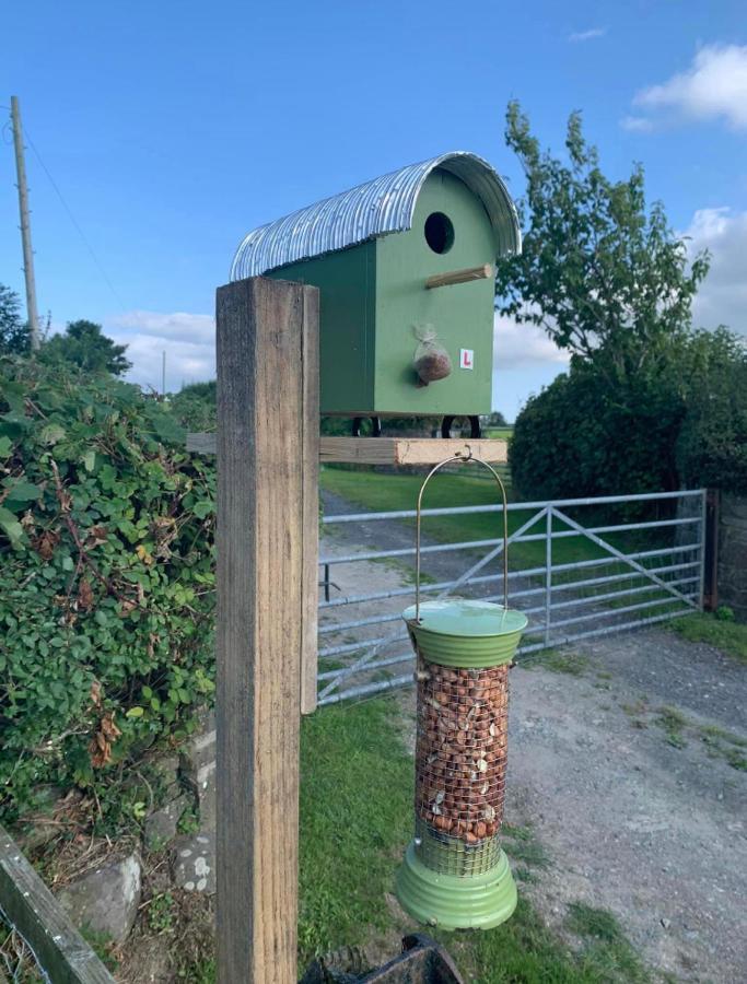 The Woolly Sheep Shepherd Huts Whitland Exterior foto
